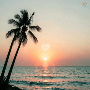 [Tongan] Live Life